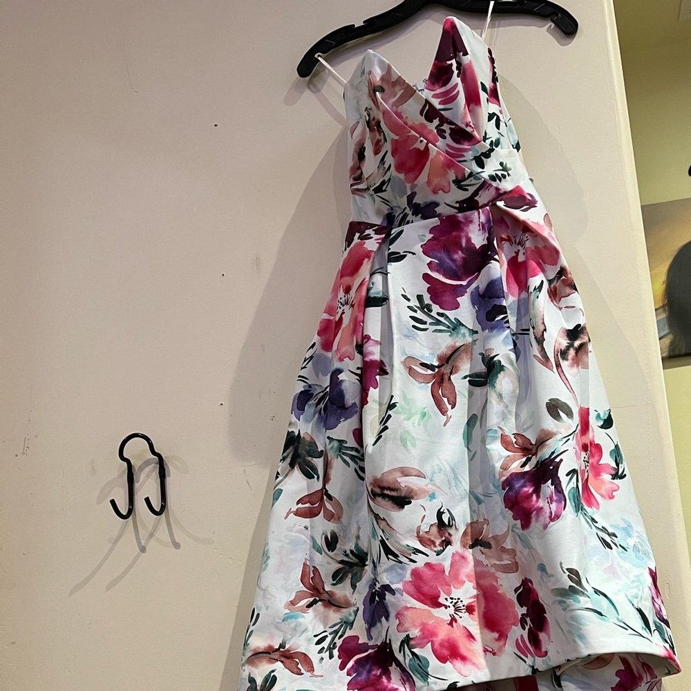 Parker Black Paulina Dress